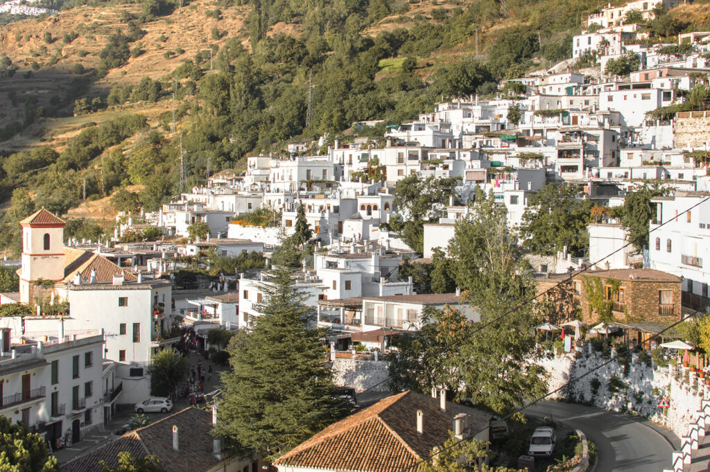 seron noticia - THE EXCEPTIONAL CLIMATE OF SERÓN: THE SECRET TO OUR DELICIOUS HAMS AND CHEESES